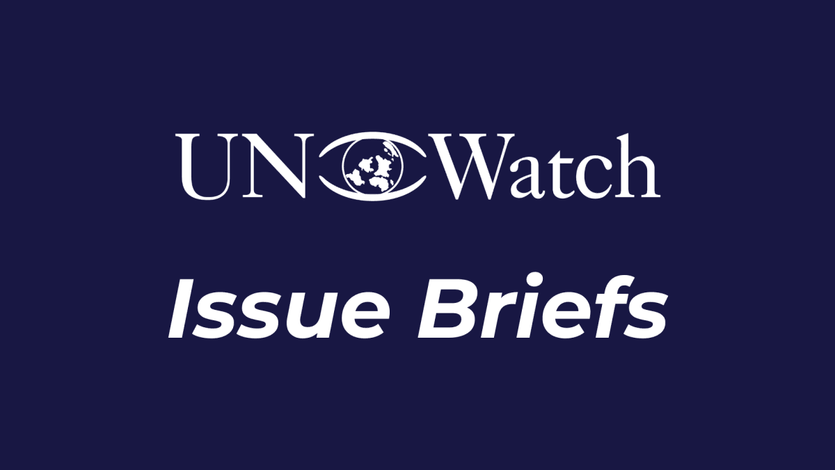 Issue Briefs - UN Watch